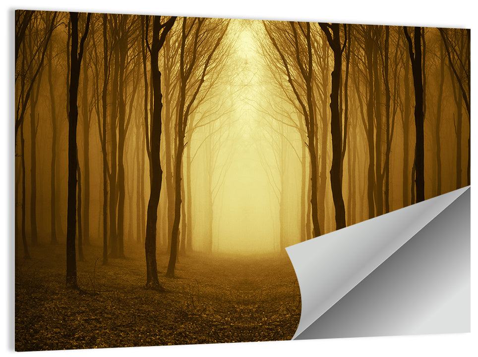 Lonely Forest Path Wall Art, poster print, landscape