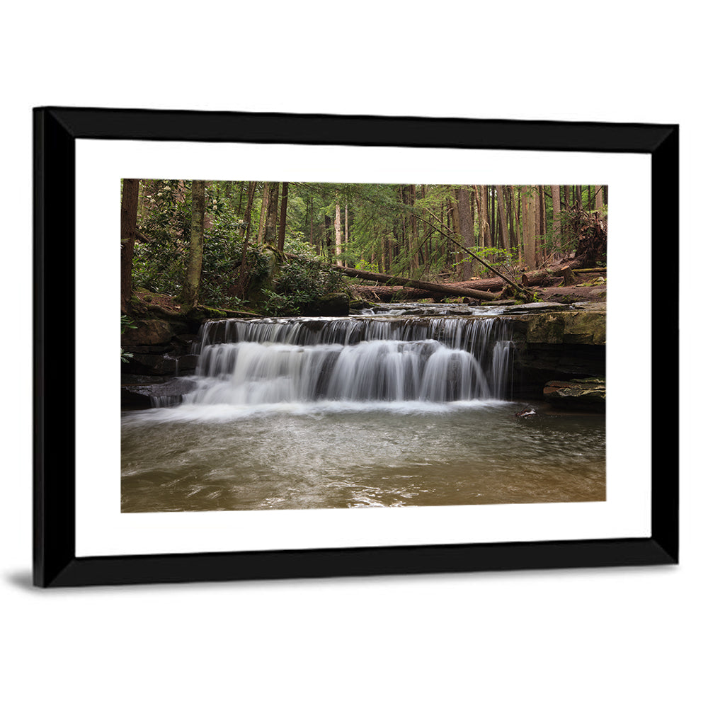 Tolliver Waterfall Wall Art