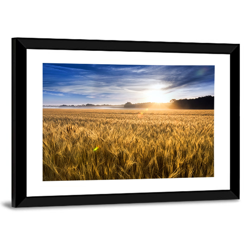 Golden Hour Wheat Field Wall Art