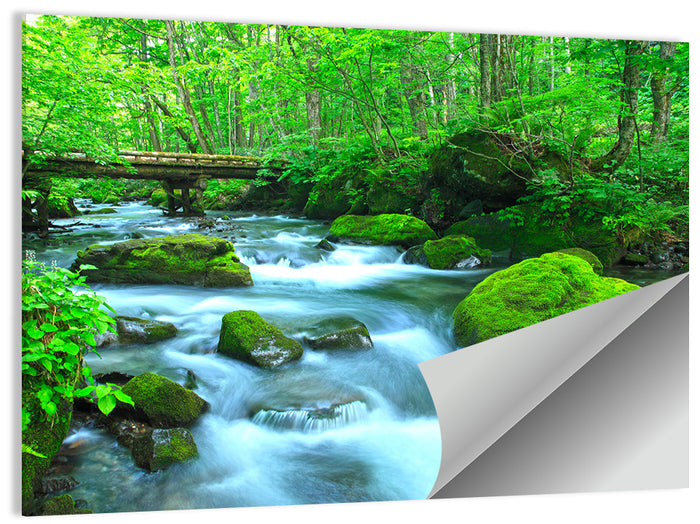 Mossy Forest Stream Wall Art as a poster print