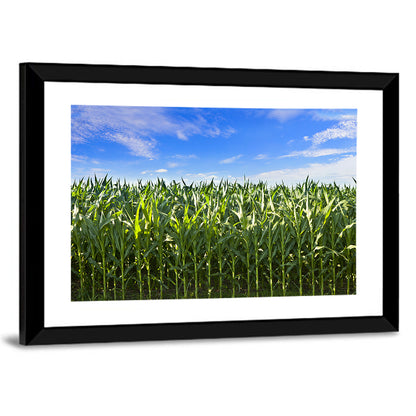 Green Corn Field Wall Art