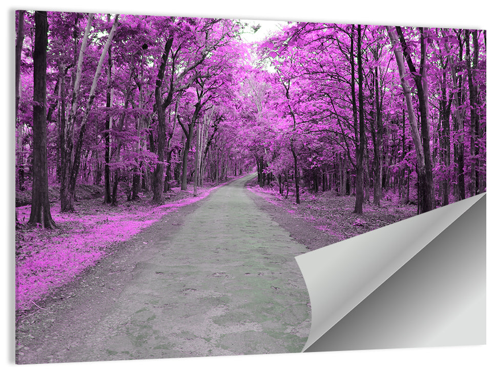 Autumn Forest Road Wall Art