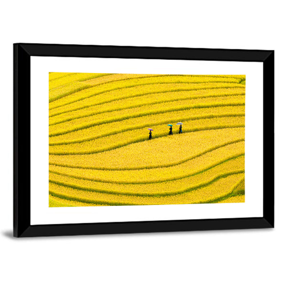 Golden Rice Terraces with Umbrellas Wall Art