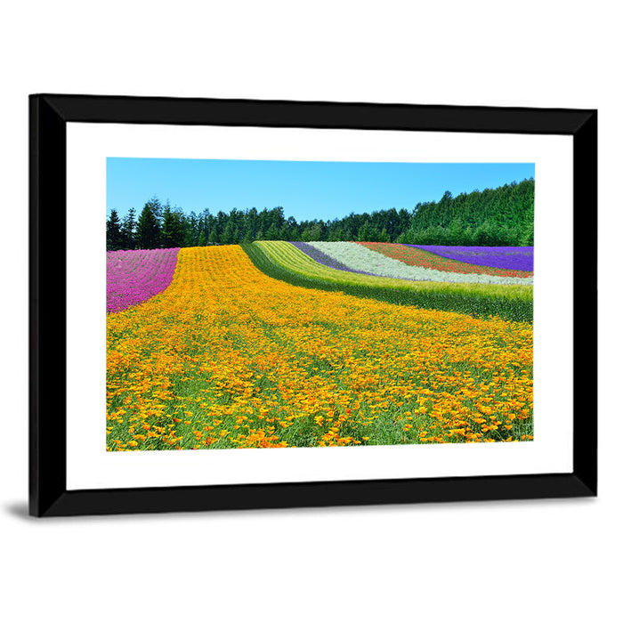 Tomita Flower Fields, Nakafurano Wall Art as a framed print