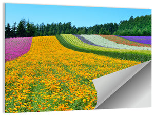 Flowers Field Wall Art