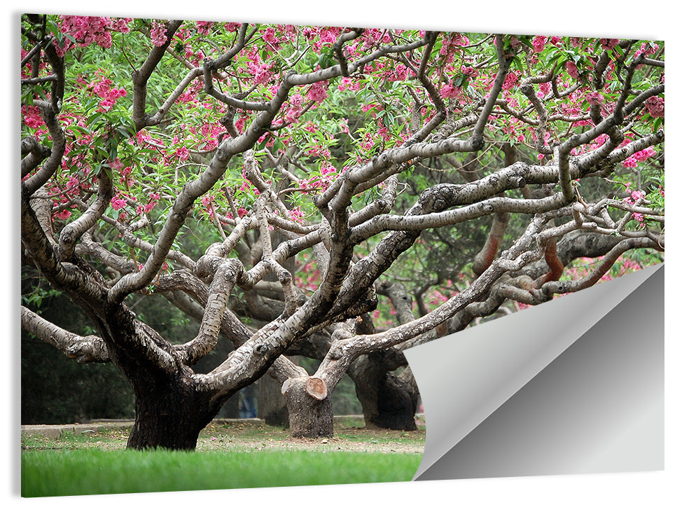 Peach Garden Wall Art