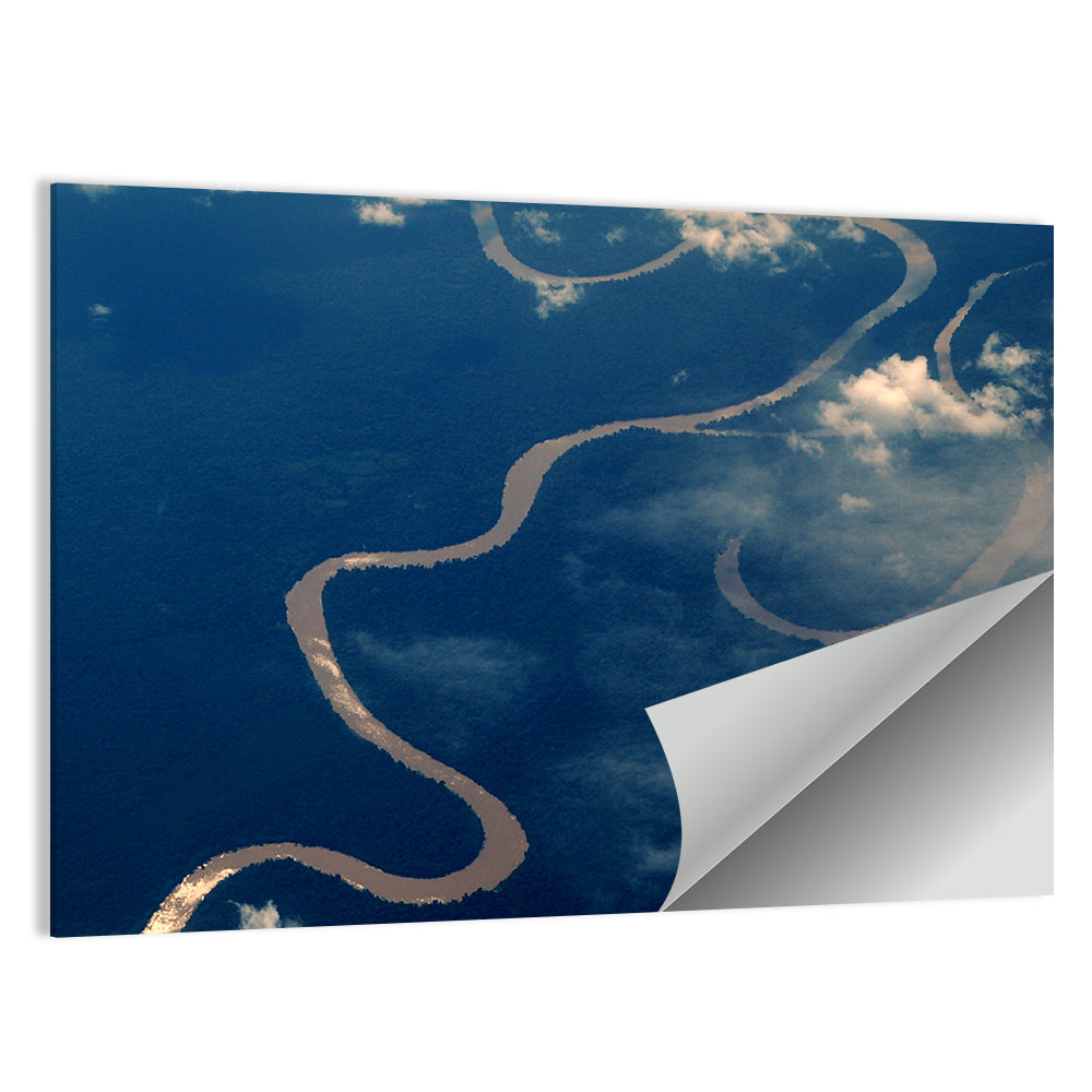 Sunlit Meander of the Amazon River Wall Art