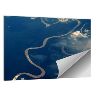 Amazon River Aerial Wall Art