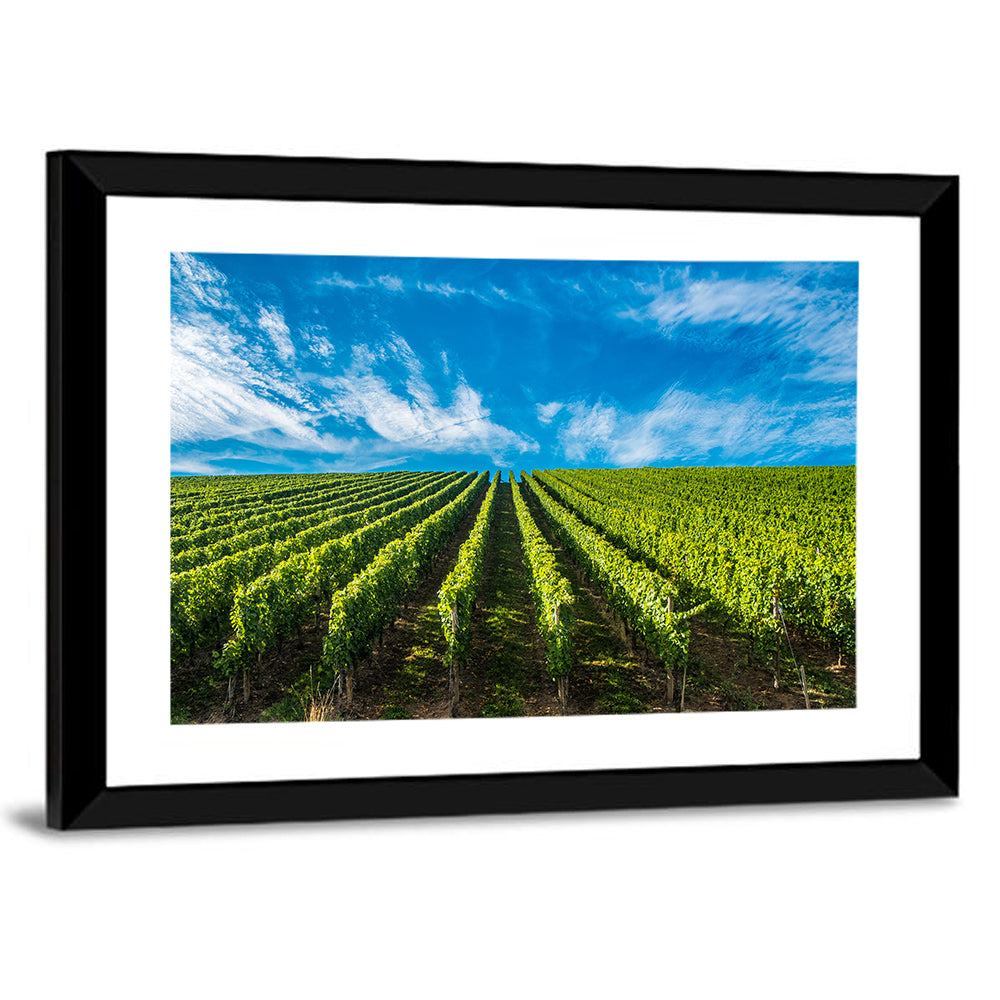 Luxembourg Vineyards Wall Art