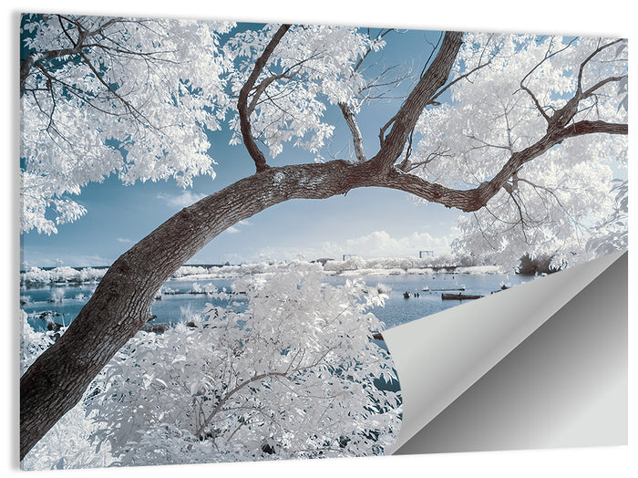 Curving Winter Tree Over Lake Wall Art as a poster print