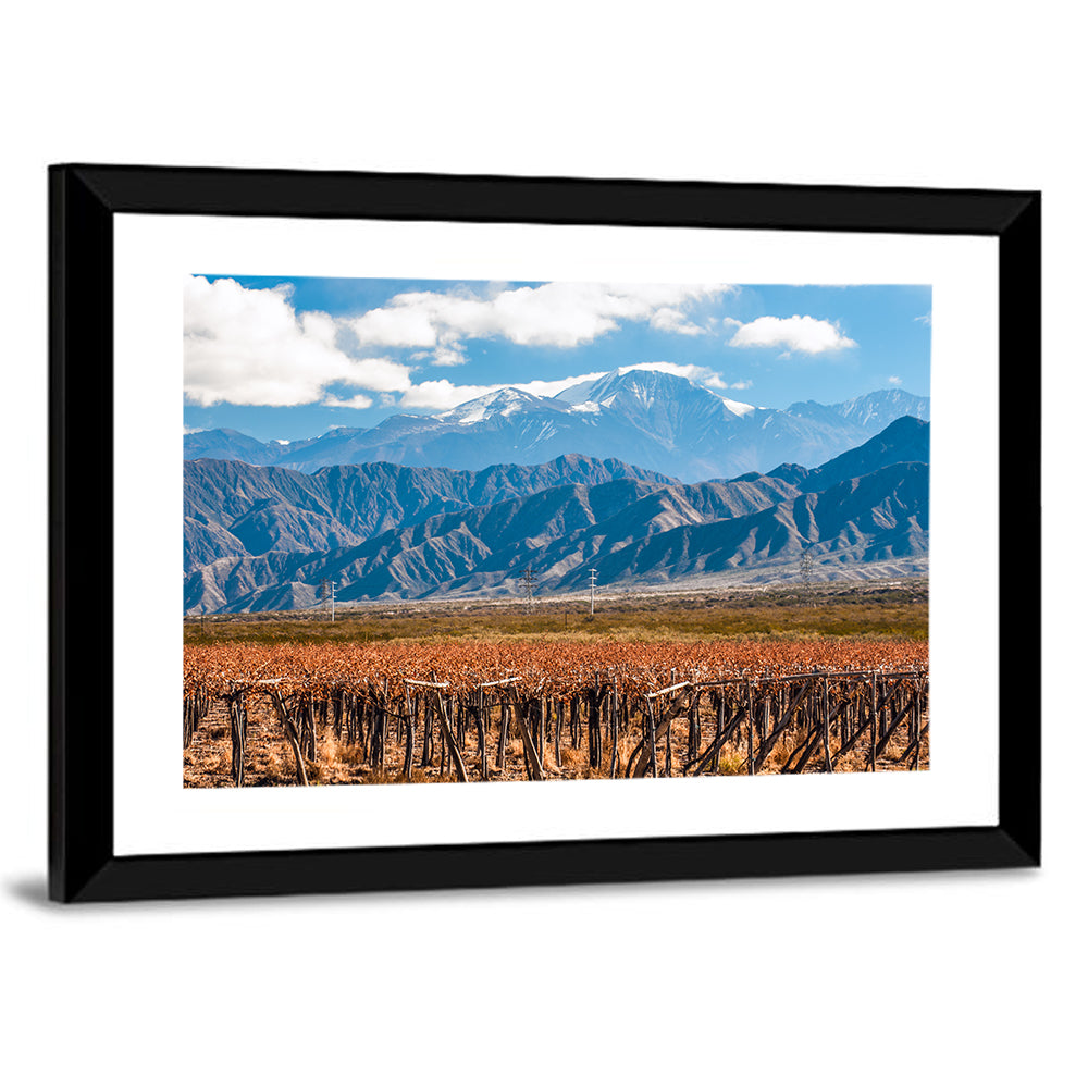 Vineyard Below Aconcagua Wall Art
