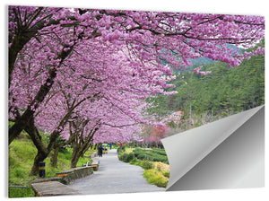 Sakura Garden Taiwan Wall Art