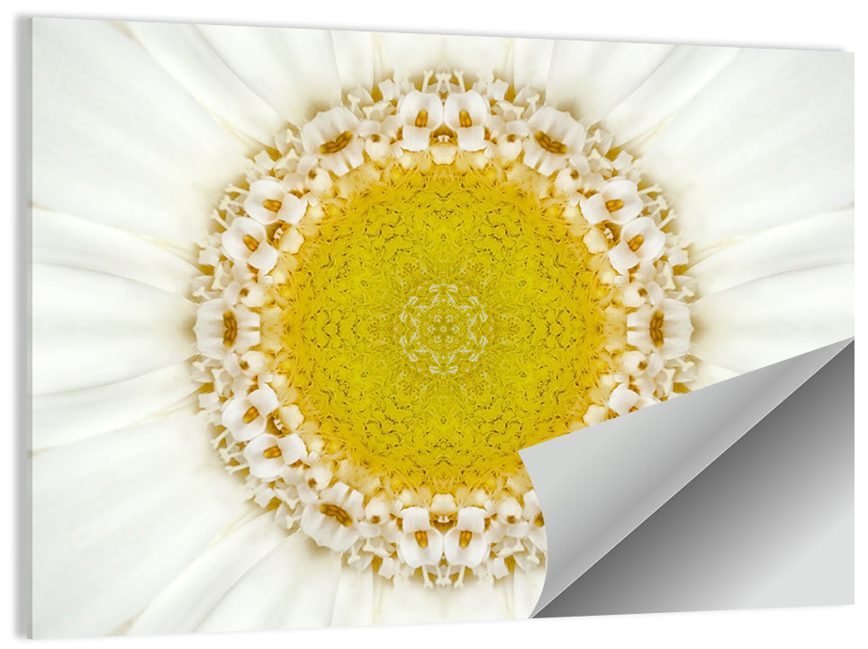 White Flower Mandala Kaleidoscope Wall Art