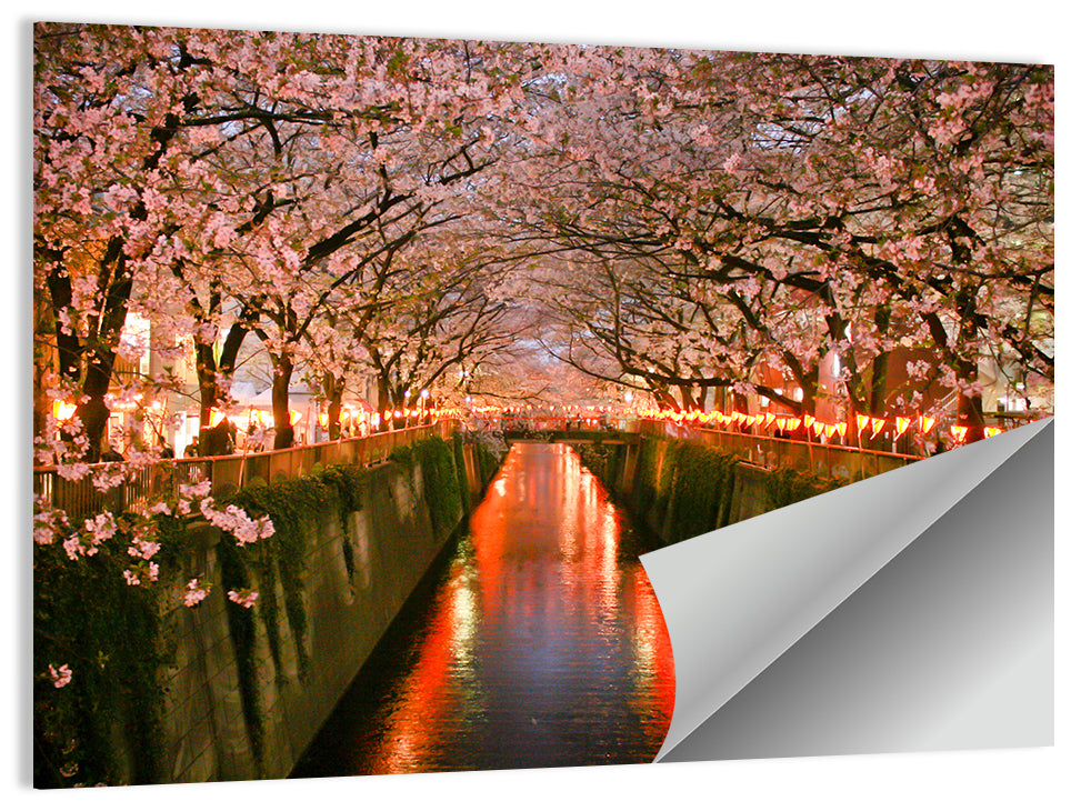 Meguro Cherry Blossom Wall Art