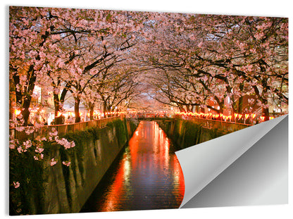 Meguro Cherry Blossom Wall Art