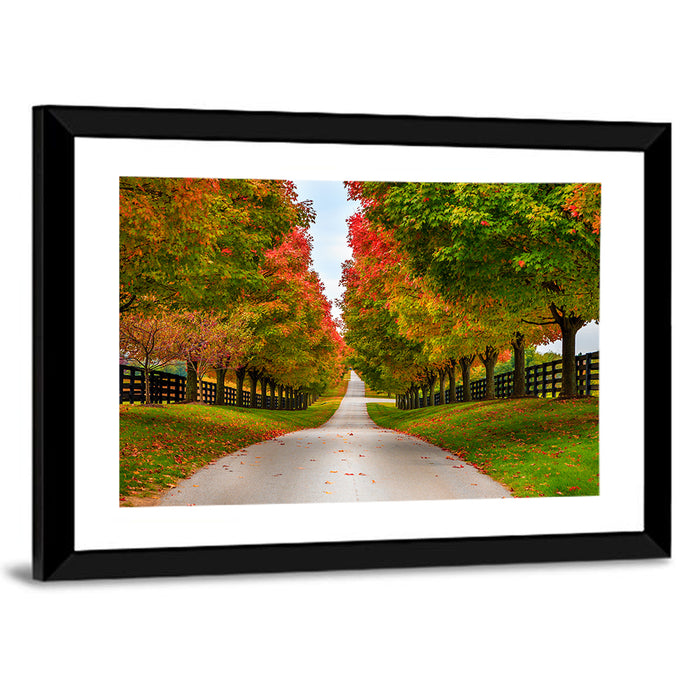 Tree-lined Farm Lane, Kentucky Wall Art as a framed print