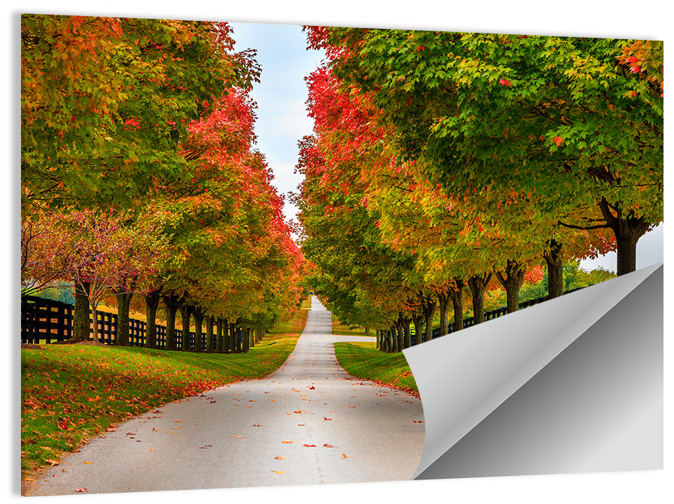 Horse Farm Rural Kentucky Wall Art