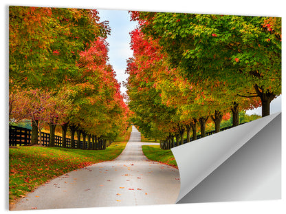 Horse Farm Rural Kentucky Wall Art