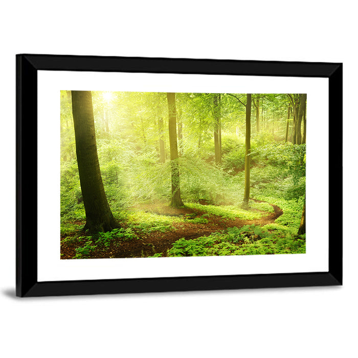Sunlit Forest Path Wall Art as a framed print