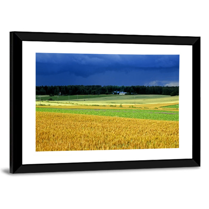 Cornfields Under Stormy Sky Wall Art as a framed print