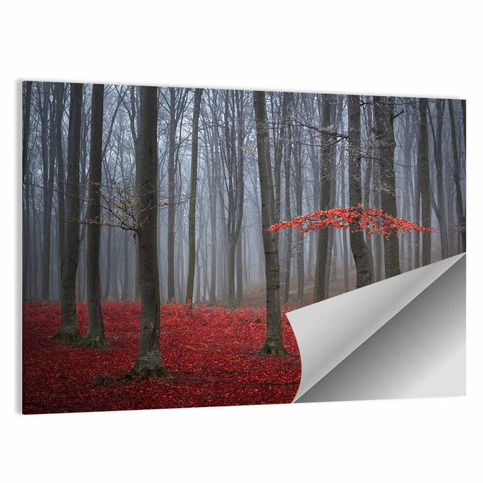 Red Foggy Autumn Forest Wall Art as a poster print
