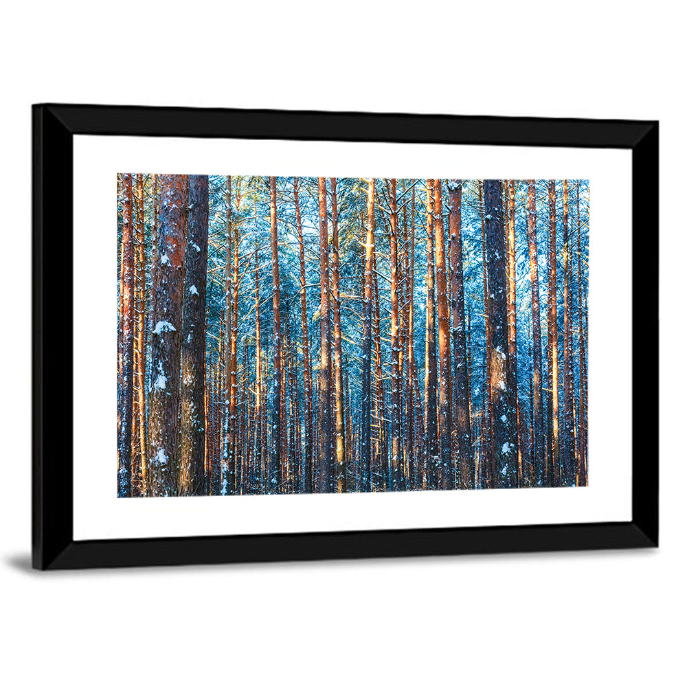 Winter Forest Trees Wall Art