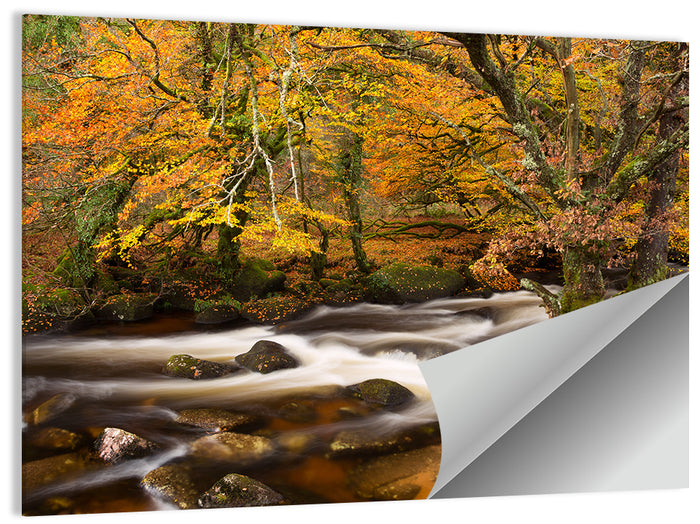 Dartmoor Autumn River in Golden Forest Wall Art as a poster print