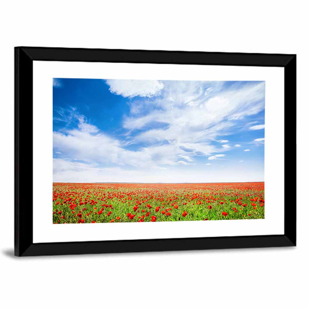 Red Poppy Field Wall Art