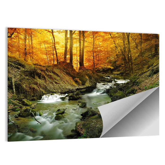 Sunlit Forest Stream Wall Art as a poster print