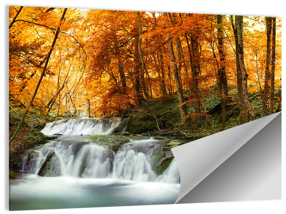 Autumn Forest Waterfall Wall Art