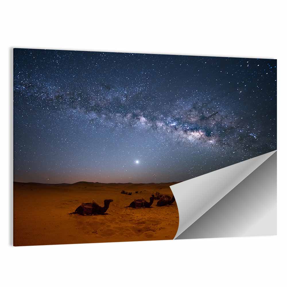 Sahara Night Sky with Camels Wall Art