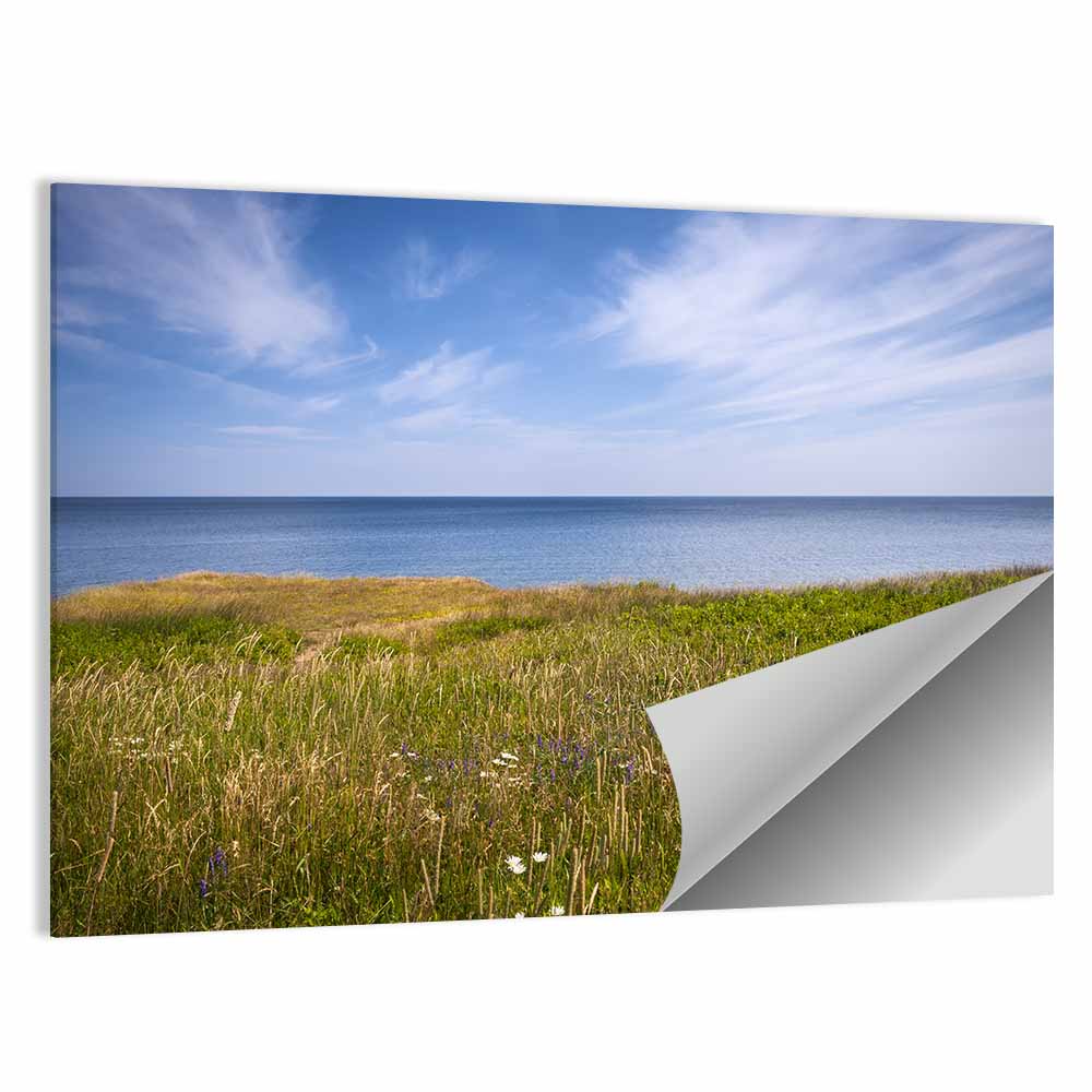 Atlantic Coastal Meadow Wall Art
