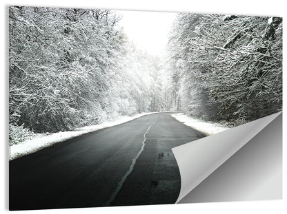 Foggy Winter Road Wall Art