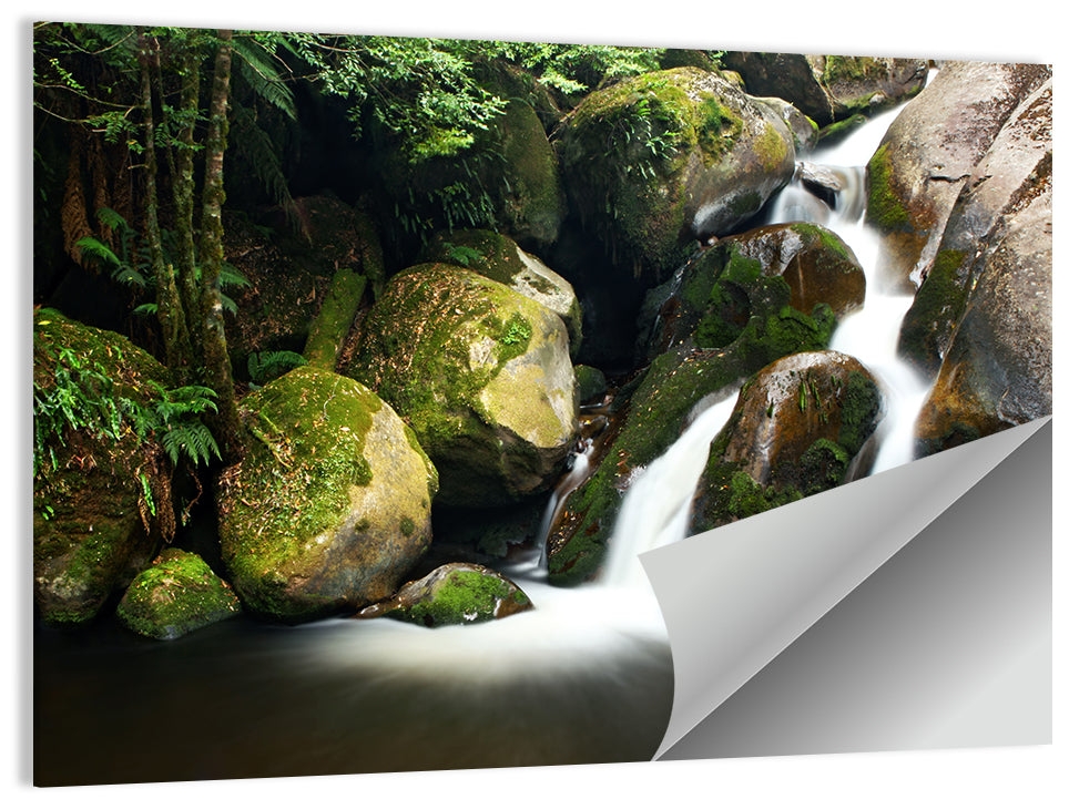 Rainforest Waterfall Wall Art
