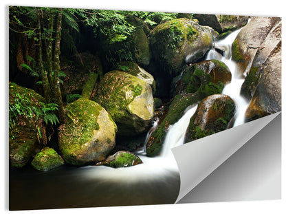 Rainforest Waterfall Wall Art
