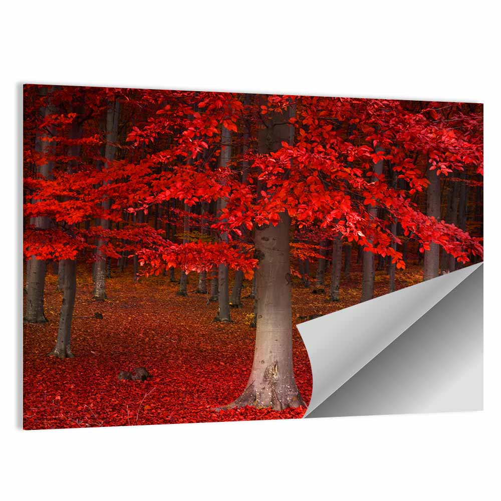 Red Forest Wall Art