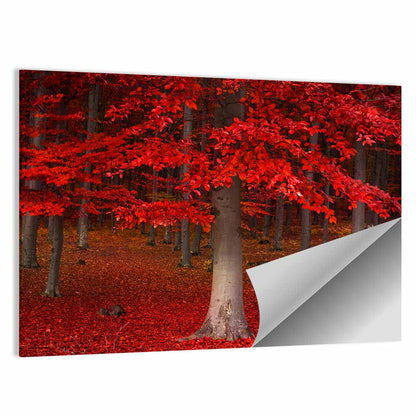 Red Forest Wall Art