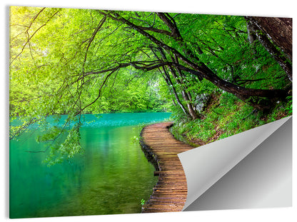 Forest Stream Pathway Wall Art