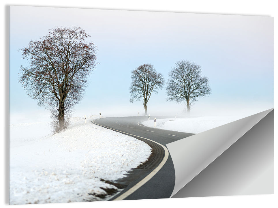 Foggy Winter Road Wall Art