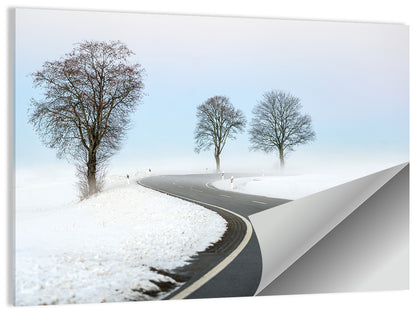 Winter Road Wall Art