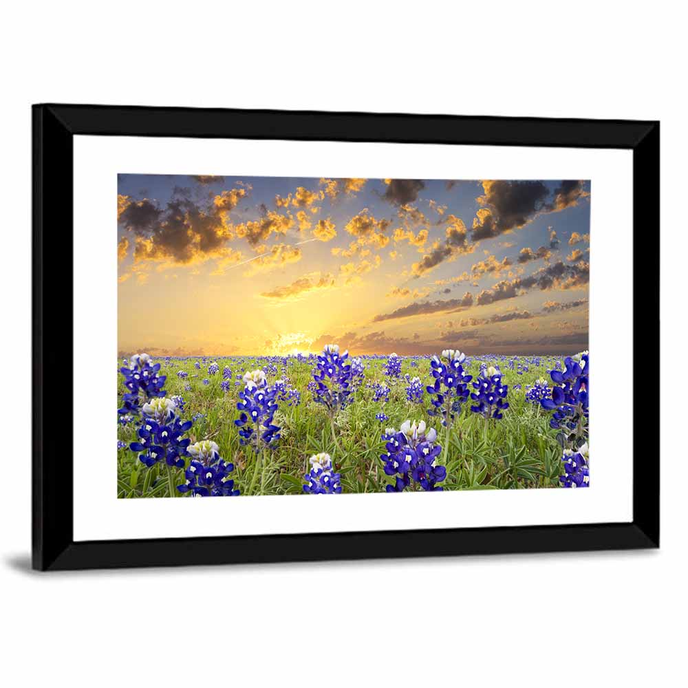 Bluebonnet Field at Sunset Wall Art