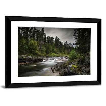 Forest Stream Wall Art