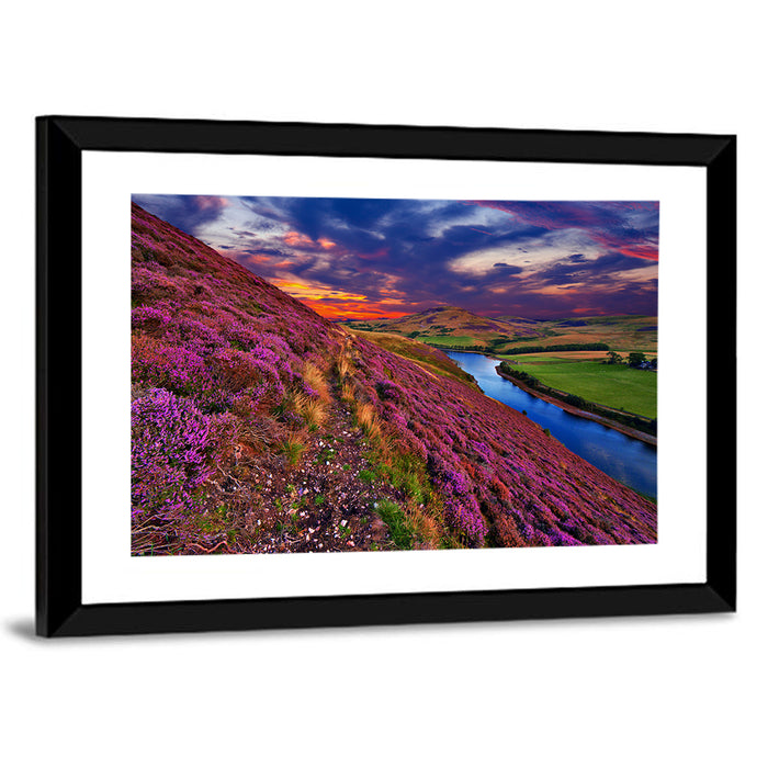 Pentland Hills Heather, Edinburgh Wall Art as a framed print