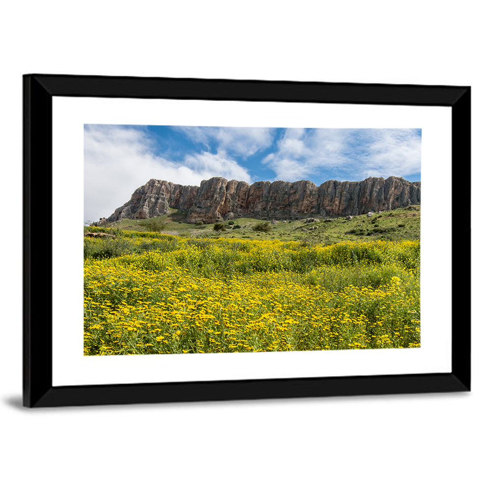 Mount Arbel Wildflower Meadow Wall Art
