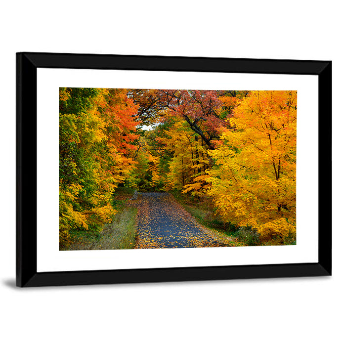 Autumn Road Through Wisconsin Park Wall Art as a framed print