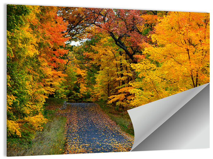 Autumn Road Through Wisconsin Park Wall Art as a poster print
