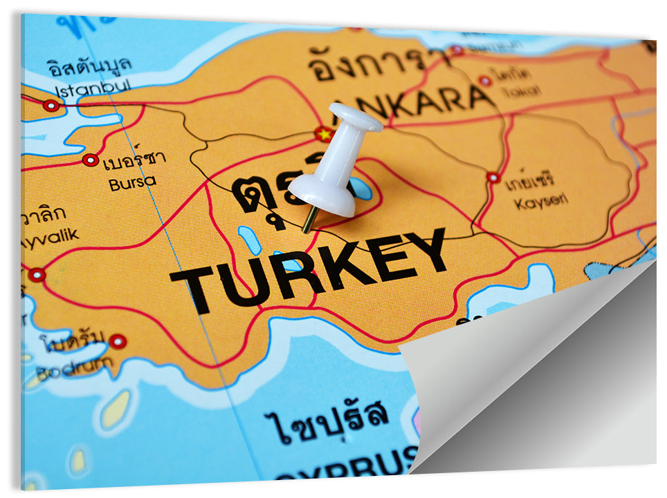 Turkey Map with Ankara Pin Wall Art
