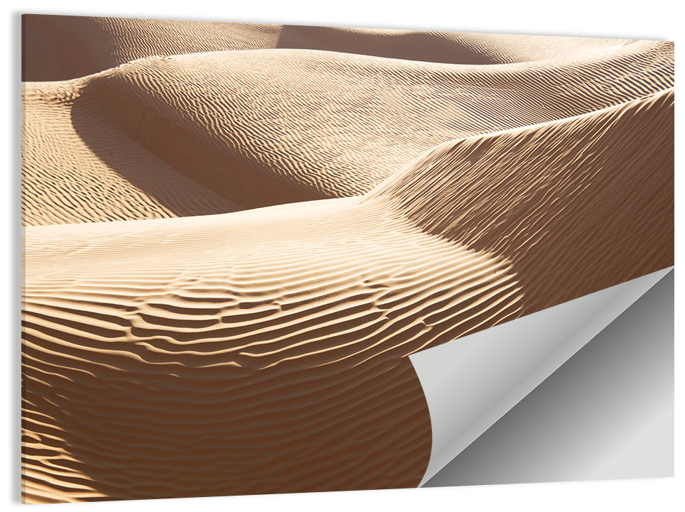 Sahara Sand Dunes Close-up Wall Art