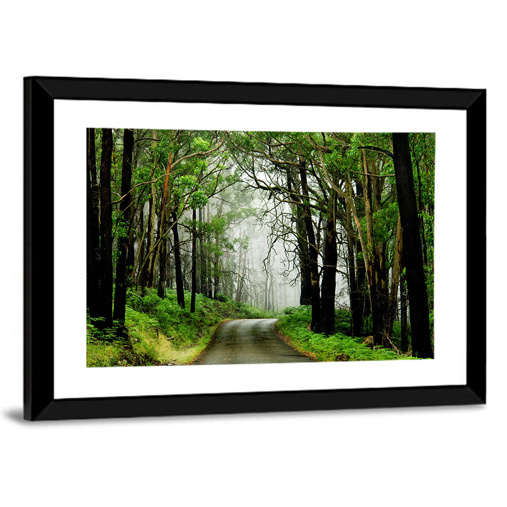 Foggy Forest Road Wall Art