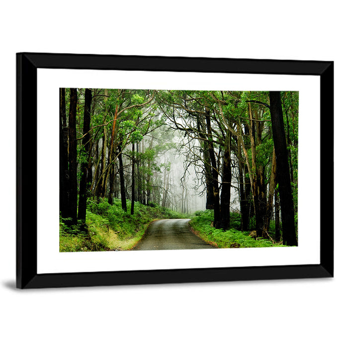 Misty Eucalyptus Road Wall Art as a framed print